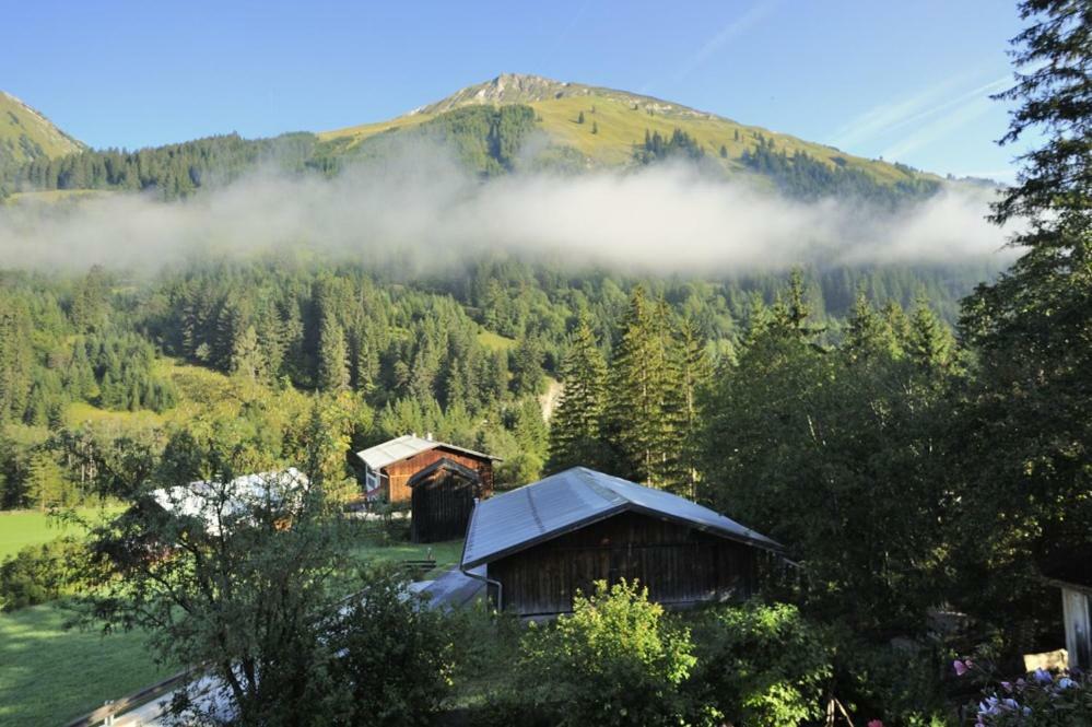 Haus Alpina Apartamento Häselgehr Exterior foto